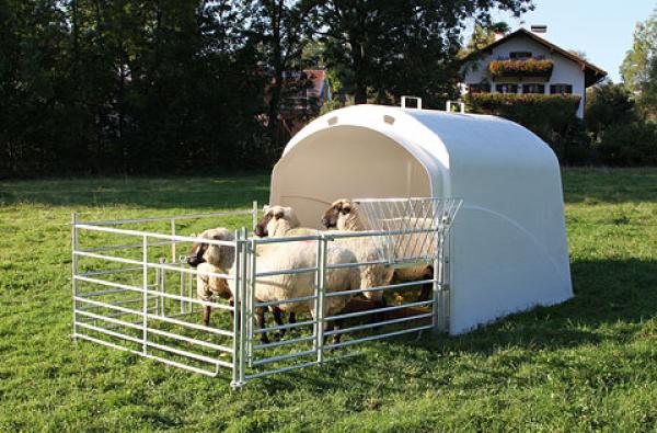 Weidehütte / Weideunterstand